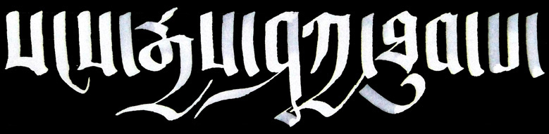 calligraphie U-me